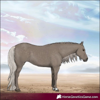 Horse Color:Silver Grullo 