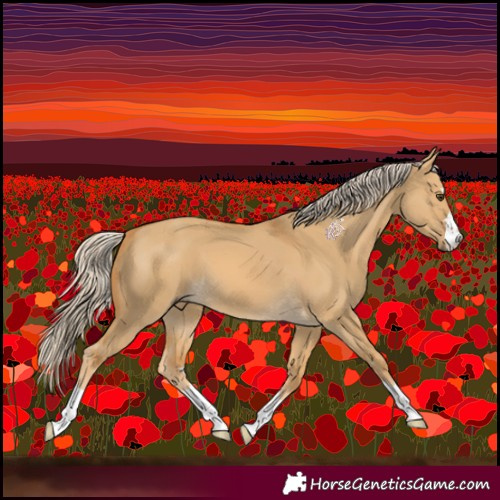 Horse Color:Palomino Dun 