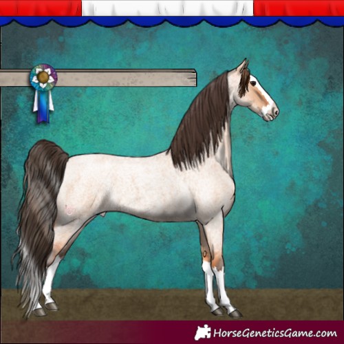Horse Color:Bay Roan Dun Splash 