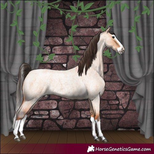 Horse Color:Bay Roan Dun Splash 