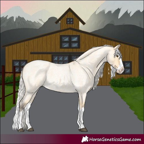 Horse Color:Silver Buckskin Roan Dun Splash 
