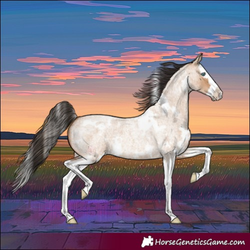 Horse Color:White Spotted Bay Roan Dun Splash 