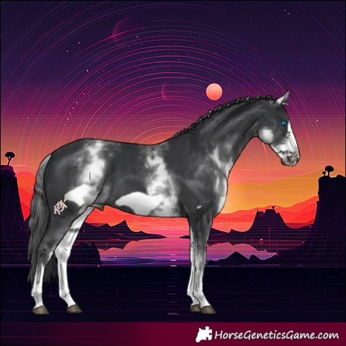 Horse Color:White Spotted Black Frame 