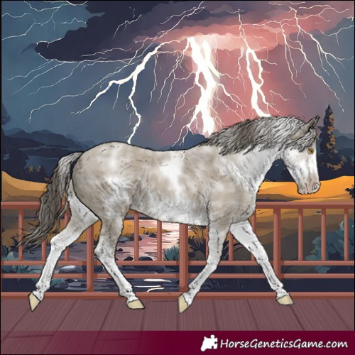 Horse Color:White Spotted Classic Cream Champagne Frame 