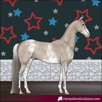 Horse Color:White Spotted Classic Champagne Sabino