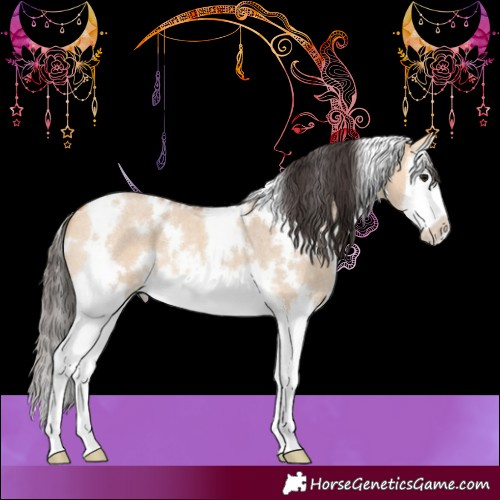 Horse Color:White Spotted Bay Roan Dun Splash 