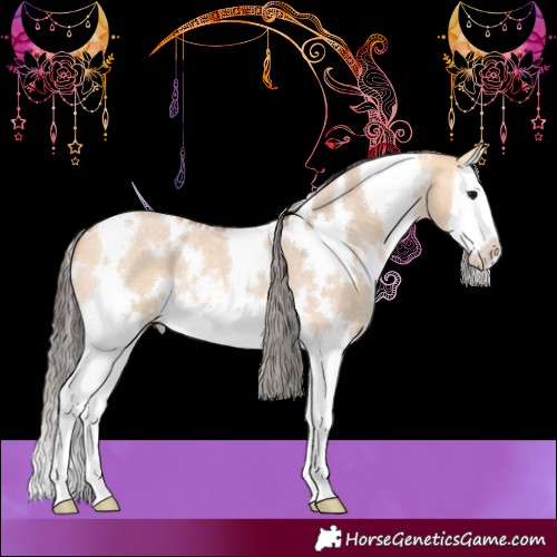 Horse Color:White Spotted Bay Roan Dun Splash 