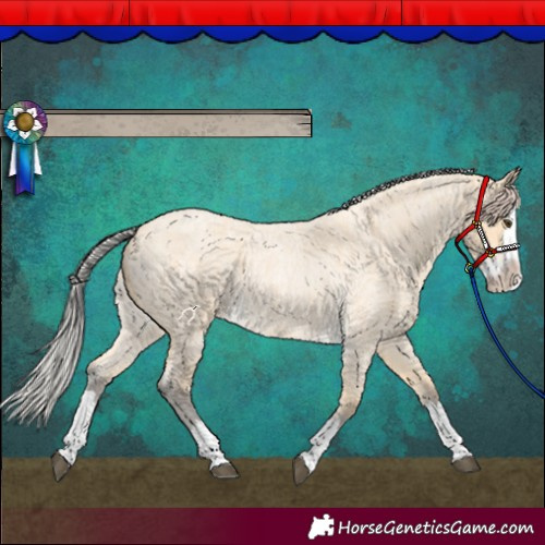 Horse Color:Silver Buckskin Roan Splash 
