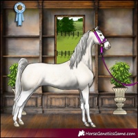 Horse Color:Silver Buckskin Roan Dun Splash
