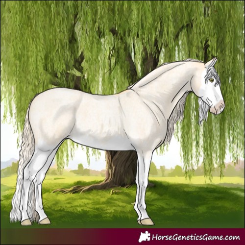 Horse Color:Palomino Roan Dun Splash 