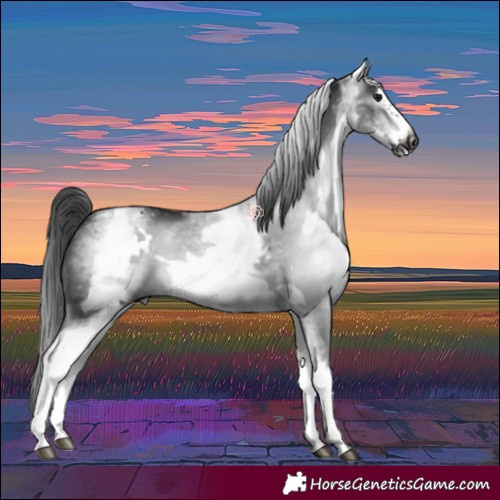 Horse Color:Gray White Spotted Black Frame 
