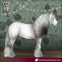 Horse Color:Gray White Spotted Bay
