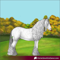 Horse Color:Brown Onyx Sabino 