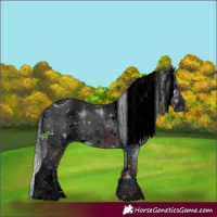 Horse Color:ERROR: UNKNOWN ANOMALY