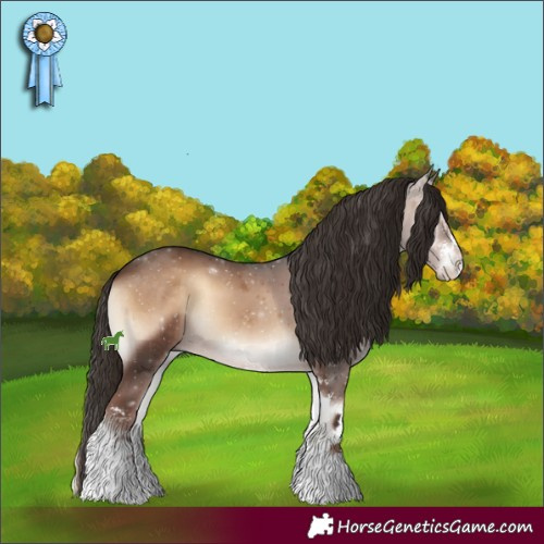 Horse Color:Liver Red Onyx Sabino 