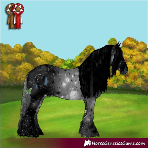 Horse Color:ERROR: UNKNOWN ANOMALY