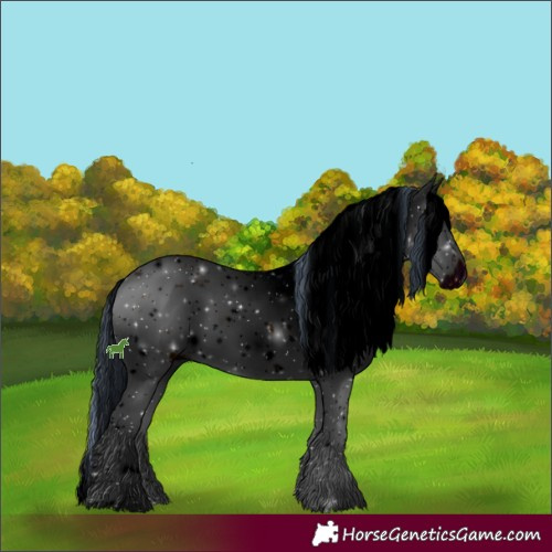 Horse Color:ERROR: UNKNOWN ANOMALY