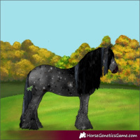 Horse Color:ERROR: UNKNOWN ANOMALY