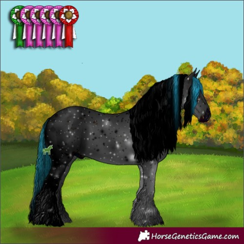 Horse Color:ERROR: UNKNOWN ANOMALY