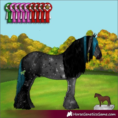 Horse Color:ERROR: UNKNOWN ANOMALY