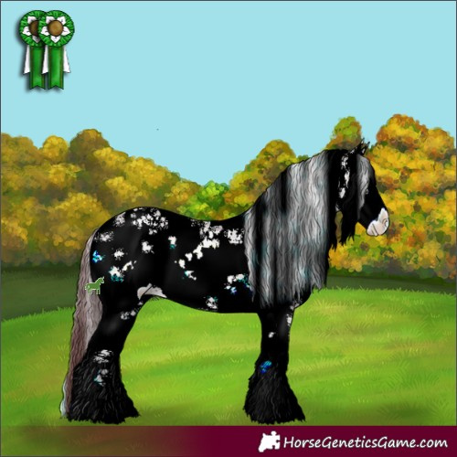 Horse Color:Chocolate Brown Onyx Mushroom Sabino 