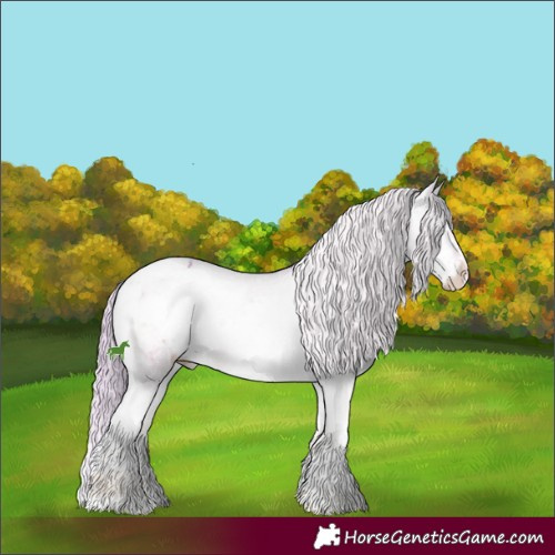 Horse Color:Watercolor White Spotted Chocolate Palomino Ice Onyx Mushroom Sabino Appaloosa 