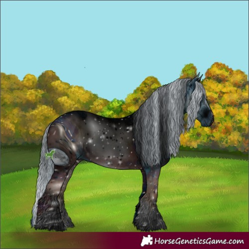 Horse Color:ERROR: UNKNOWN ANOMALY