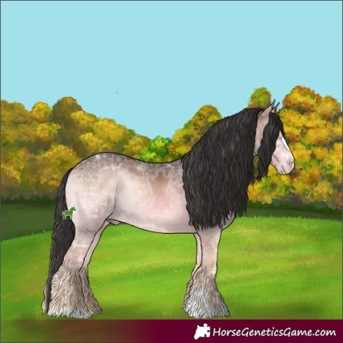 Horse Color:Brown Ice Onyx Mushroom Sabino 