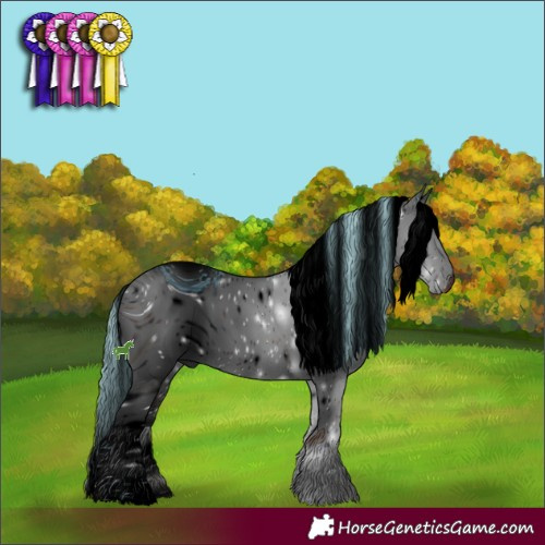 Horse Color:ERROR: UNKNOWN ANOMALY