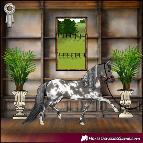 Horse Color:White Spotted Grullo 
