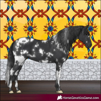 Horse Color:White Spotted Black 
