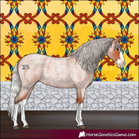Horse Color:Silver Bay Roan Splash