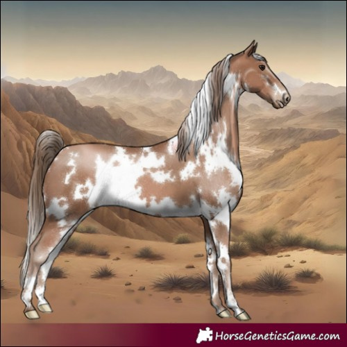 Horse Color:White Spotted Black Pearl 