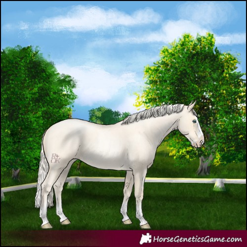Horse Color:Gold Cream Champagne Roan Pearl Splash 