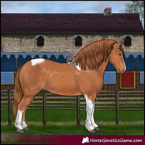 Horse Color:Chestnut Tobiano Frame 