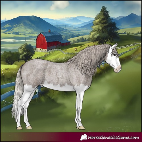 Horse Color:Silver Blue Roan Splash 