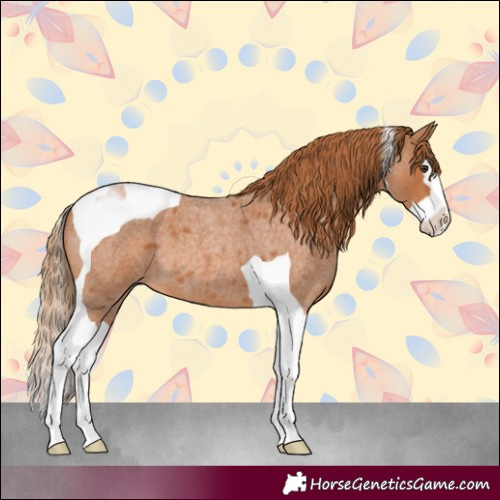 Horse Color:Red Roan Splash Tobiano
