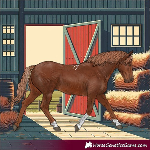 Horse Color:Chestnut Tobiano 