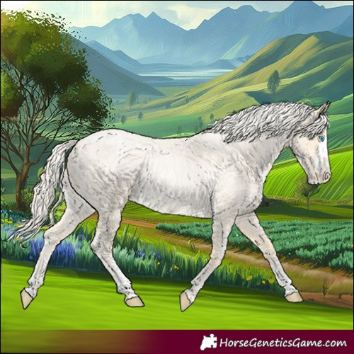Horse Color:Palomino Roan Pearl and Palomino Roan Pearl