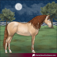 Horse Color:Gray Classic Cream Champagne Pearl Rabicano 