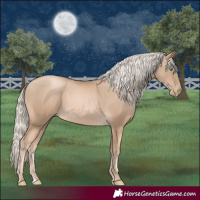 Horse Color:Chocolate Palomino Pearl 