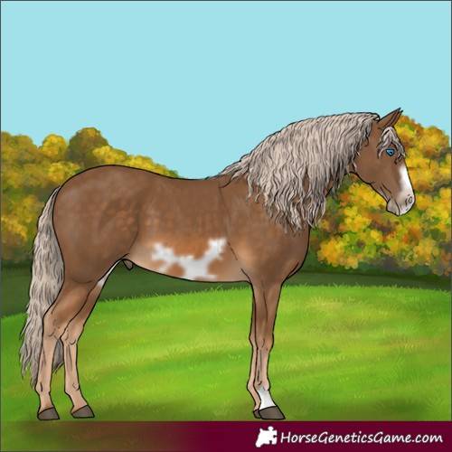 Horse Color:Chocolate Palomino Frame 