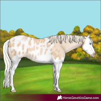 Horse Color:Palomino Pearl Splash Appaloosa