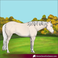 Horse Color:Silver Perlino 