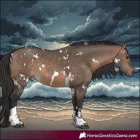 Horse Color:White Spotted Brown Dun Tobiano Rabicano