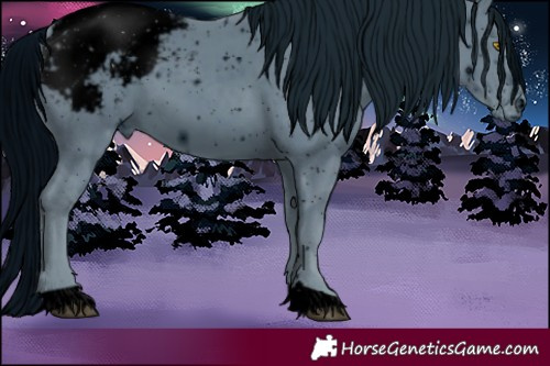 Horse Color:ERROR: UNKNOWN ANOMALY