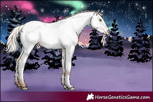 Horse Color:Silver Sable Champagne Dun Appaloosa