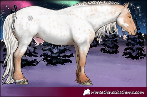 Horse Color:Silver Classic Champagne Roan Appaloosa 