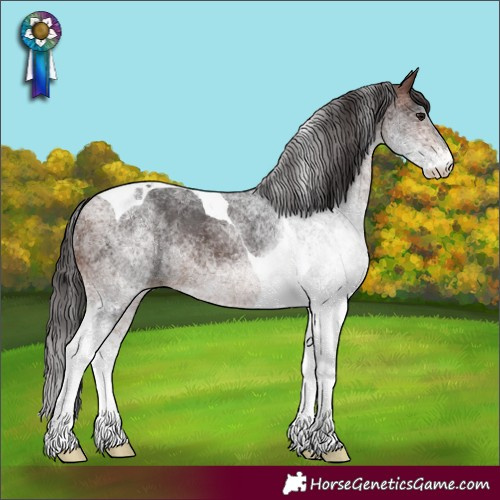 Horse Color:White Spotted Brown Tobiano 