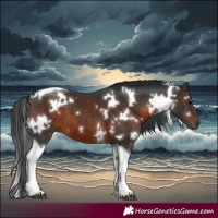 Horse Color:White Spotted Brown Tobiano 